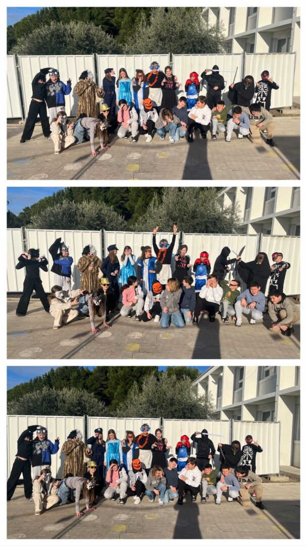 WhatsApp Image 2026-02-16 at 14.25.05 (3)