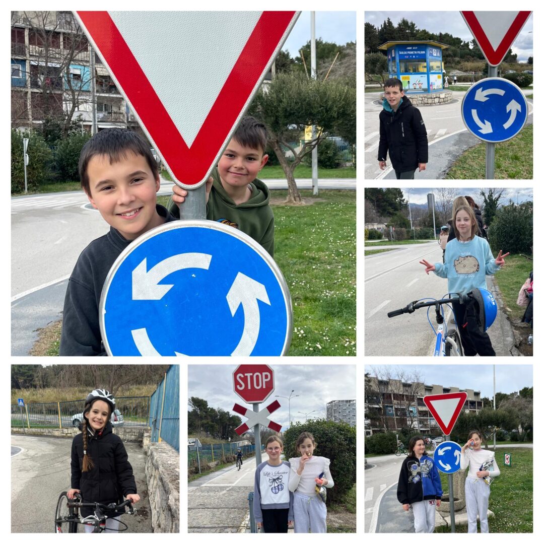 WhatsApp Image 2026-02-17 at 12.41.30