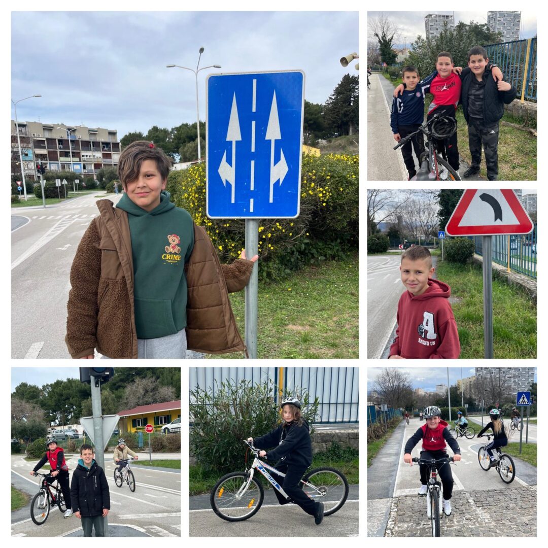 WhatsApp Image 2026-02-17 at 12.41.31 (1)