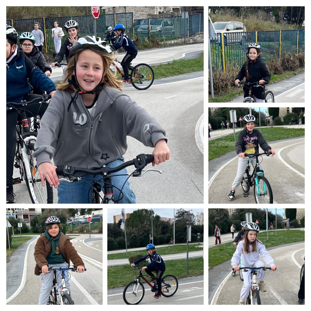 WhatsApp Image 2026-02-17 at 12.41.31 (2)