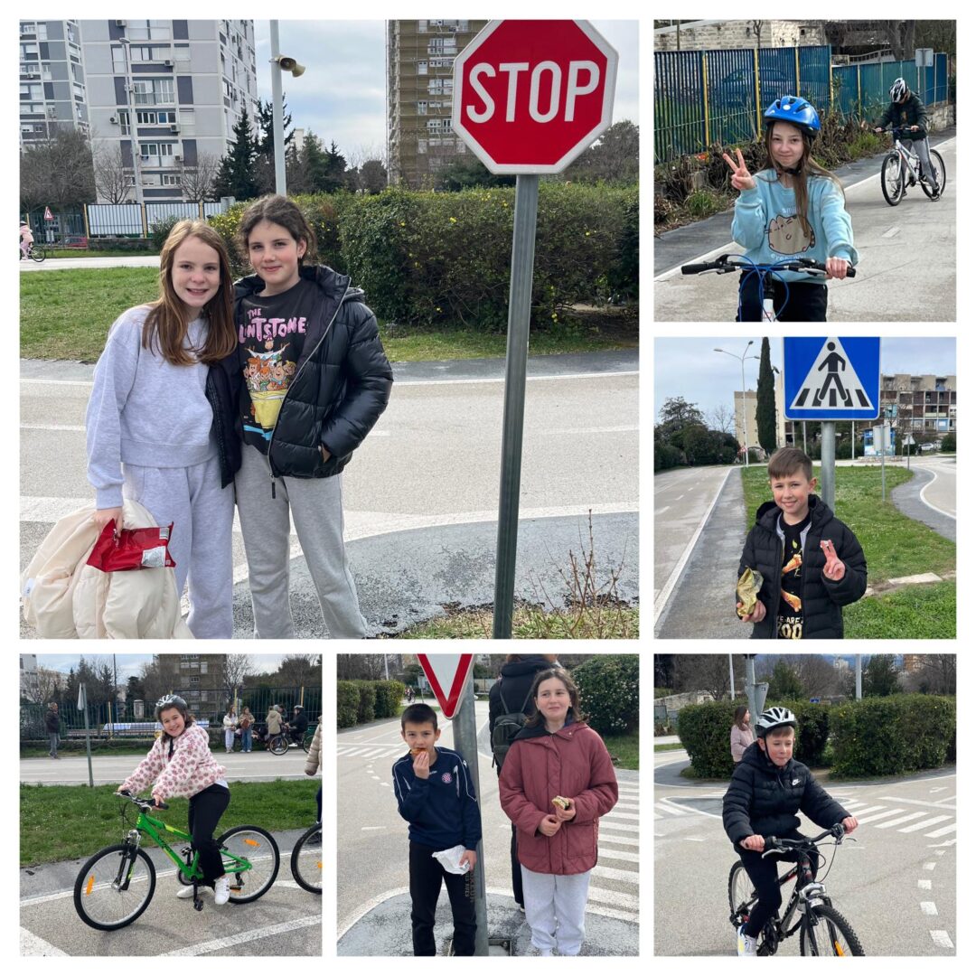 WhatsApp Image 2026-02-17 at 12.41.31 (3)