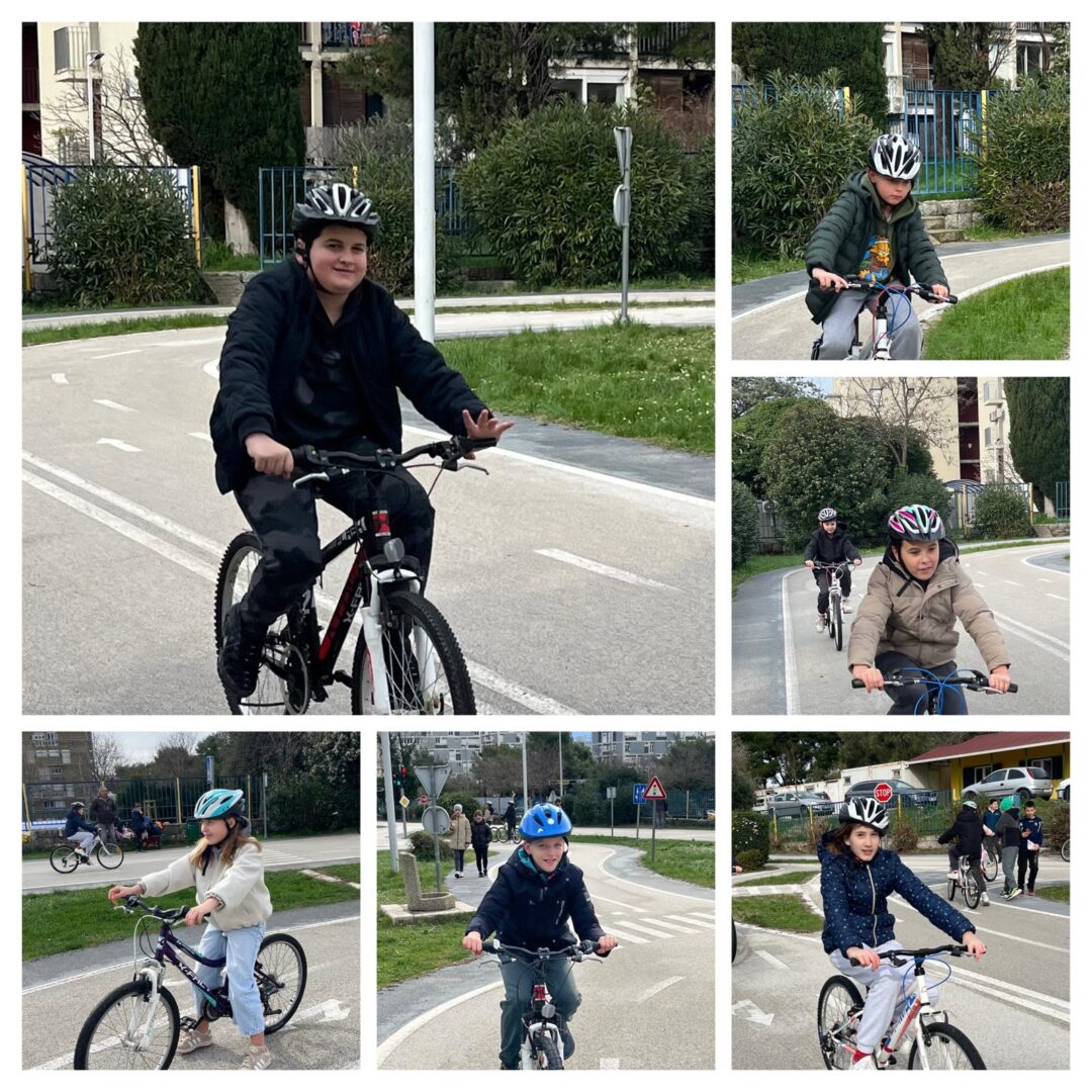 WhatsApp Image 2026-02-17 at 12.41.31 (4)