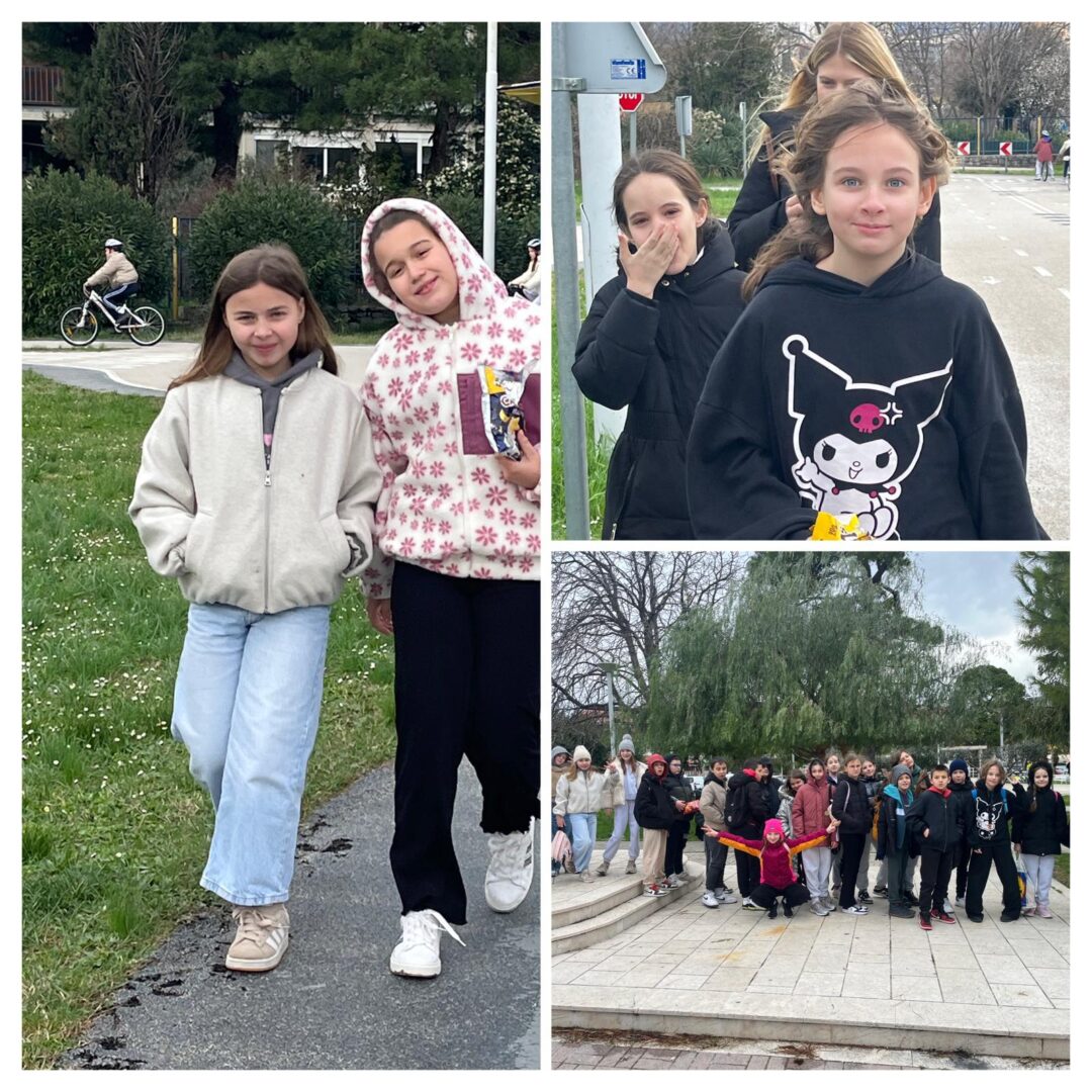 WhatsApp Image 2026-02-17 at 12.41.31 (6)