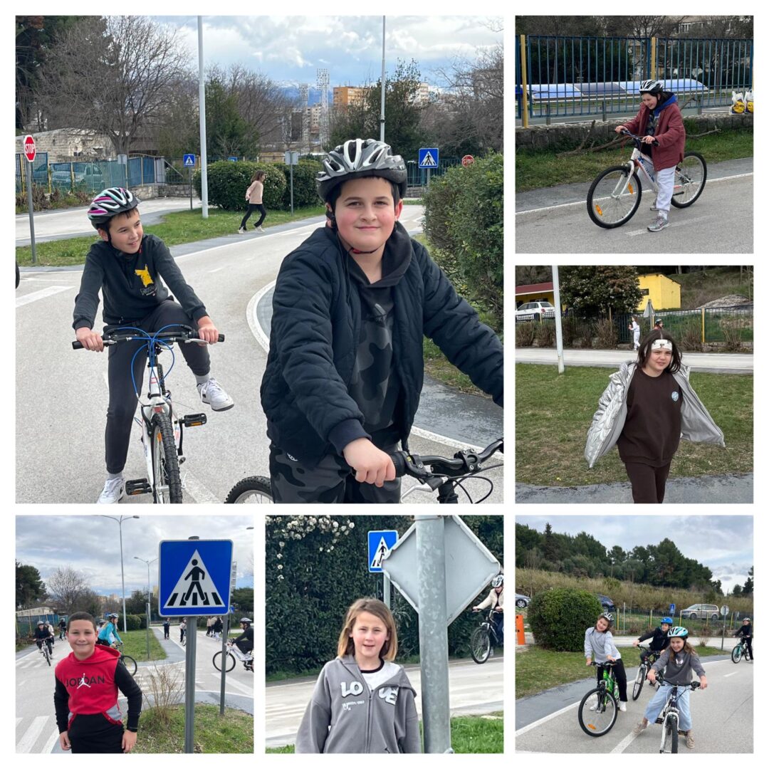 WhatsApp Image 2026-02-17 at 12.41.31