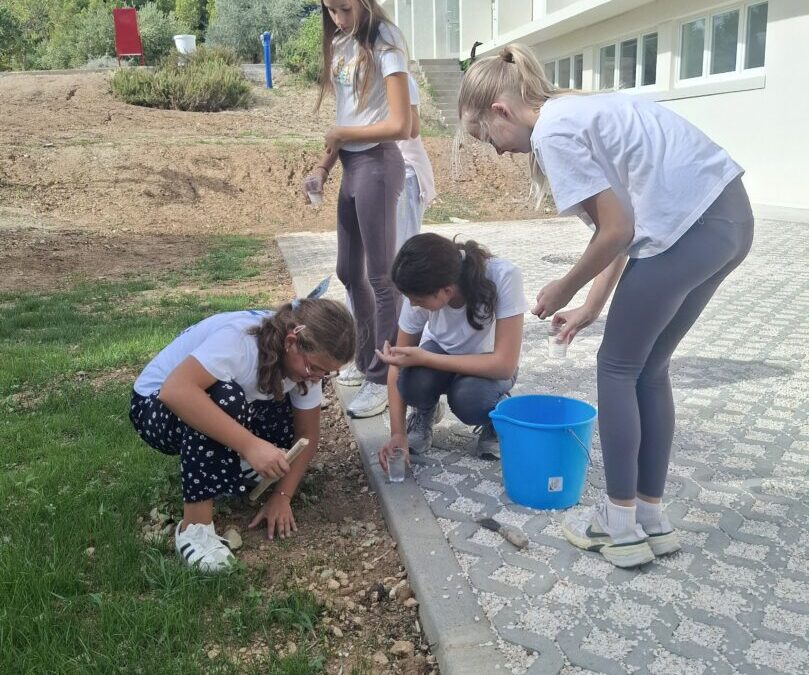Sadnja lukovica irisa u školskom vrtu – EKO aktivnost